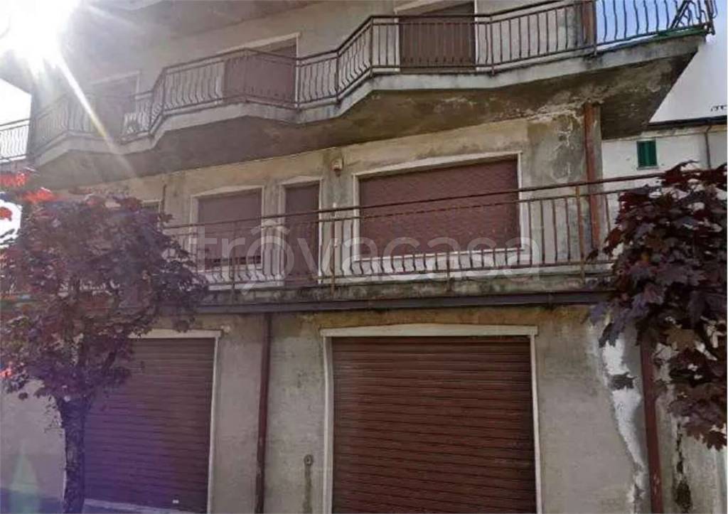 immagine annuncio 4 di 14