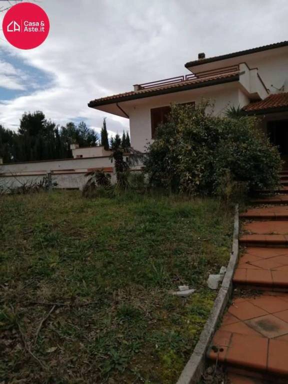 immagine annuncio 2 di 12