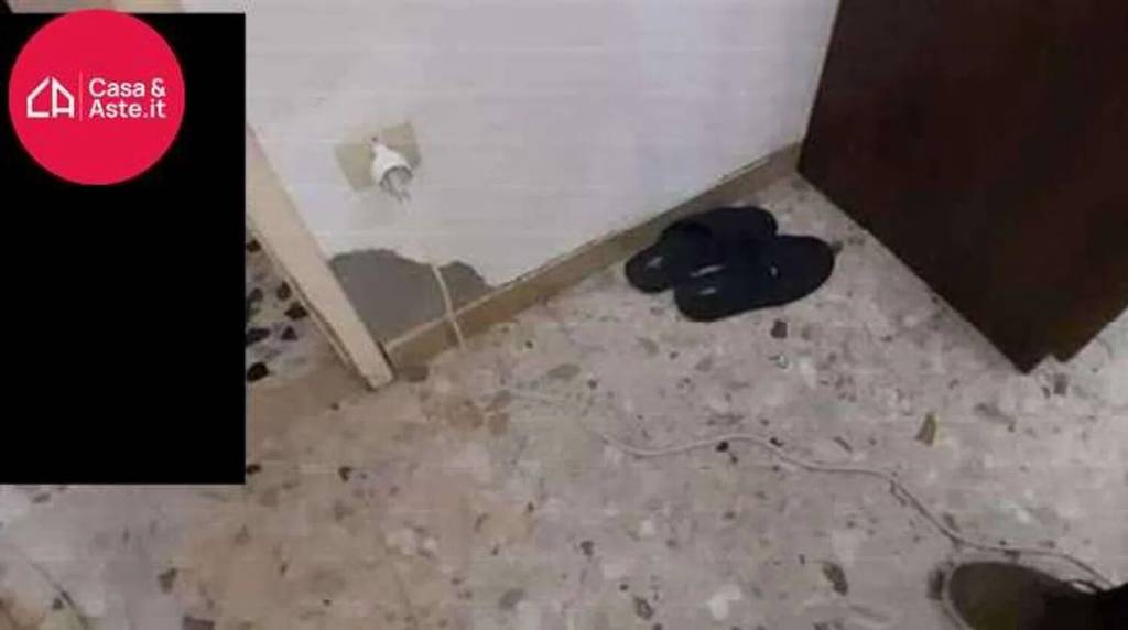 immagine annuncio 7 di 14