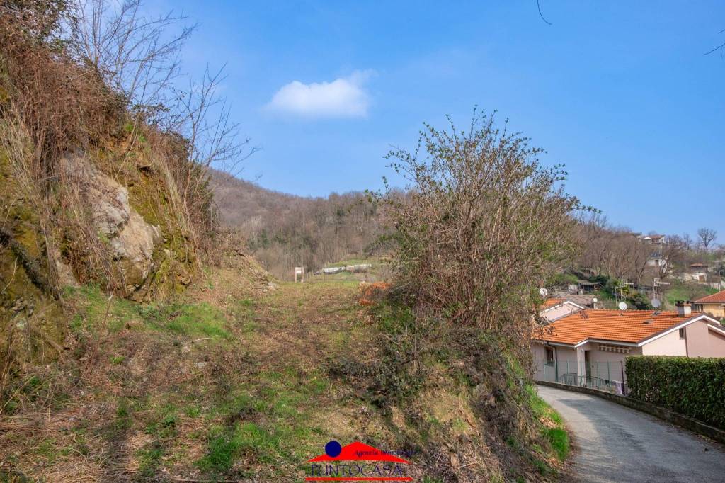 immagine annuncio 4 di 14