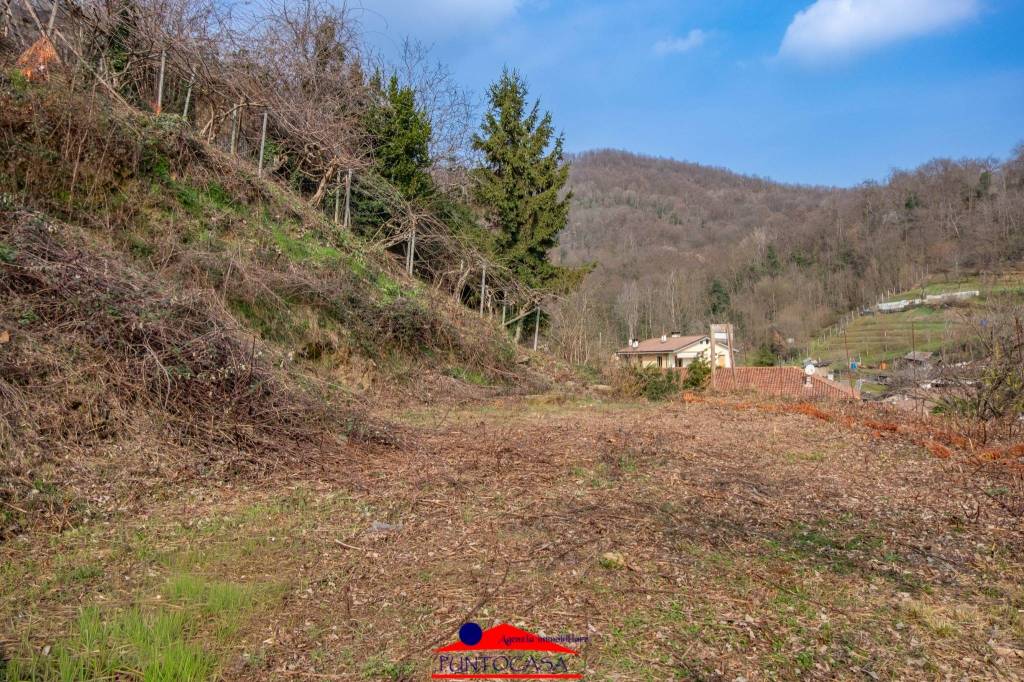 immagine annuncio 7 di 14