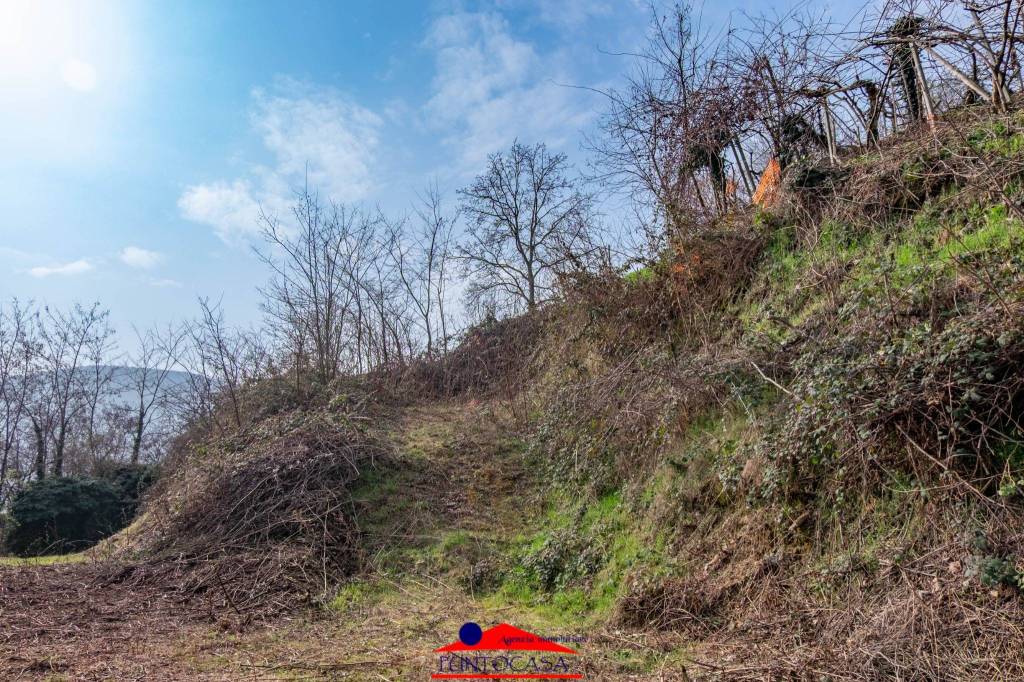 immagine annuncio 8 di 14