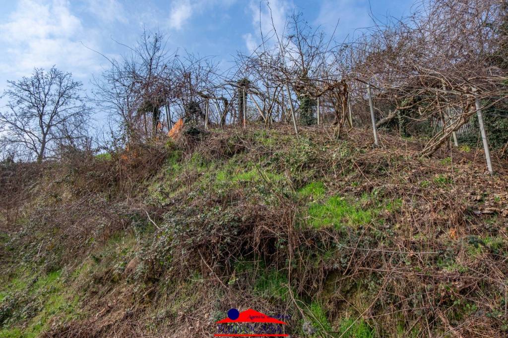 immagine annuncio 9 di 14