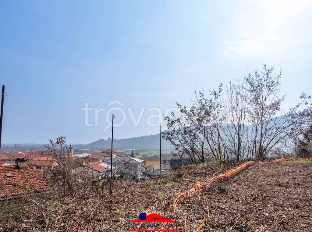 immagine annuncio 11 di 14