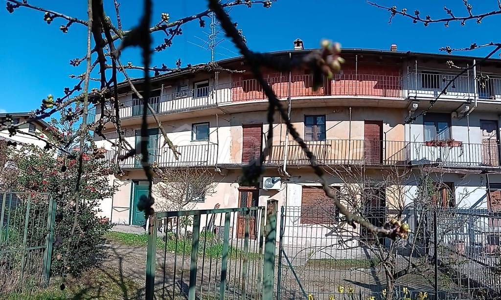 immagine annuncio 6 di 15