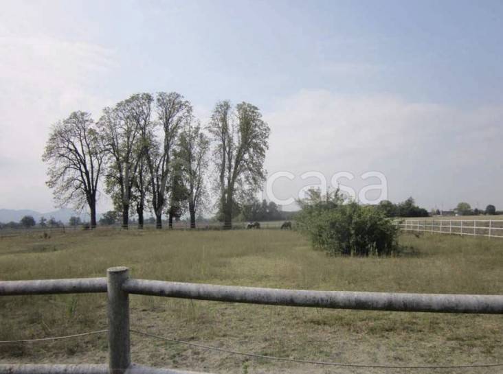 immagine annuncio 8 di 11