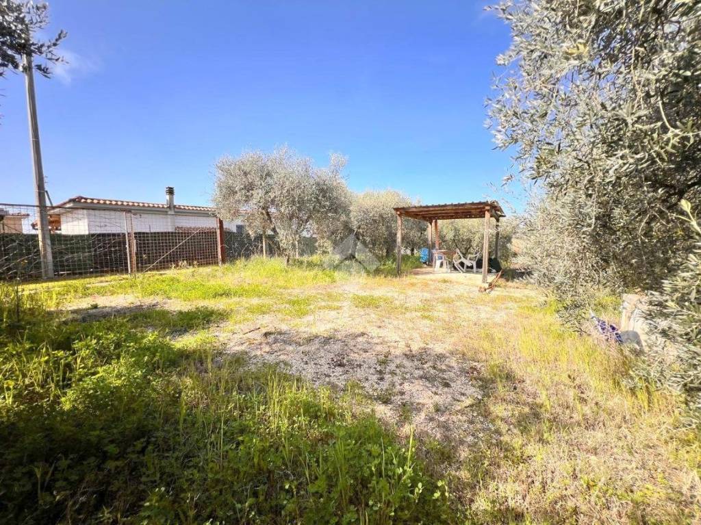 immagine annuncio 2 di 9