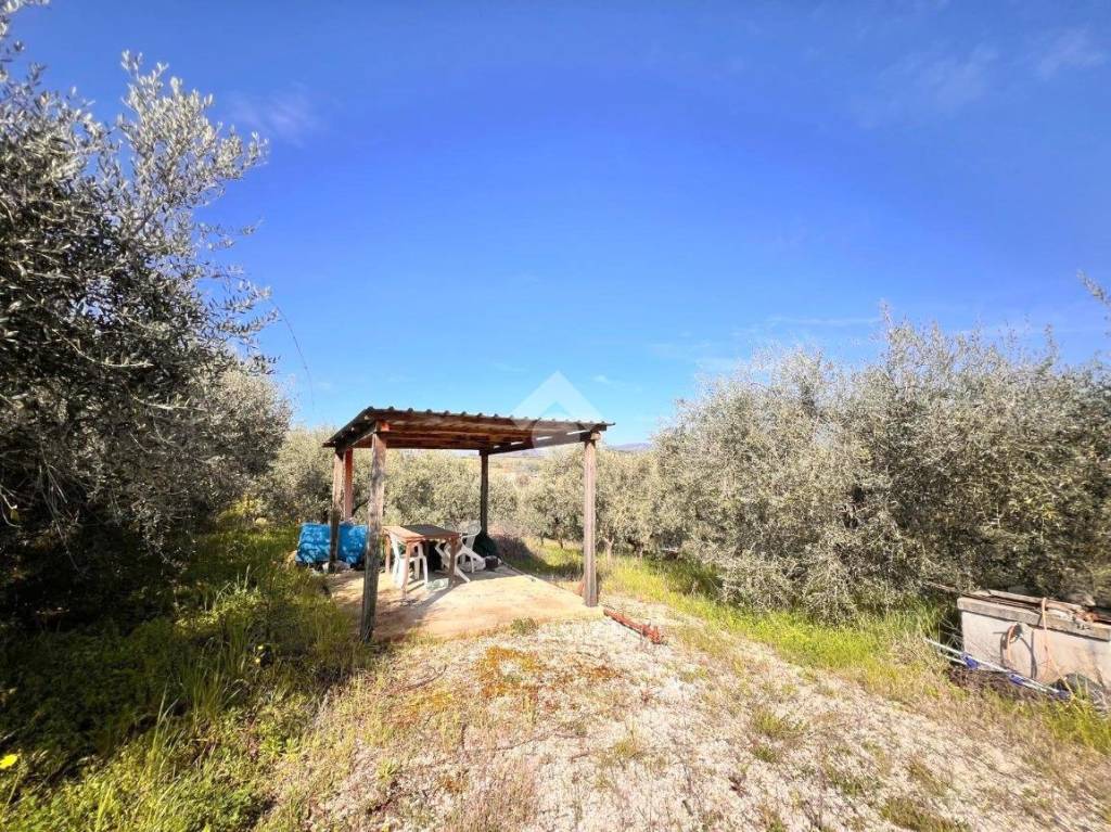 immagine annuncio 3 di 9