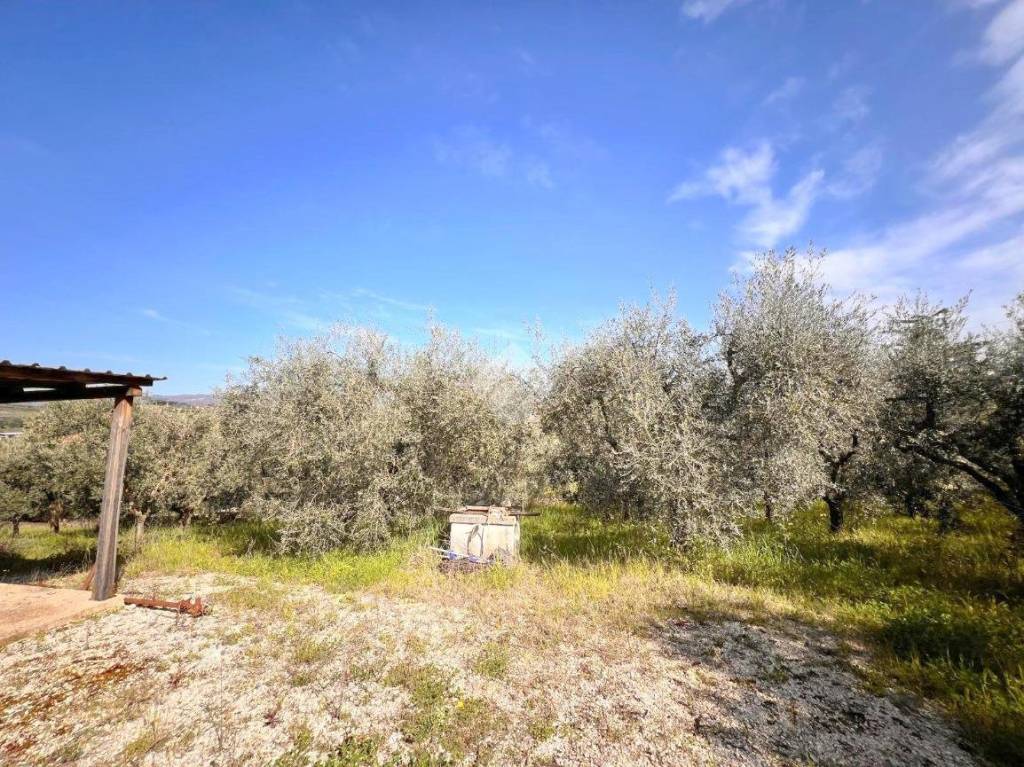 immagine annuncio 4 di 9