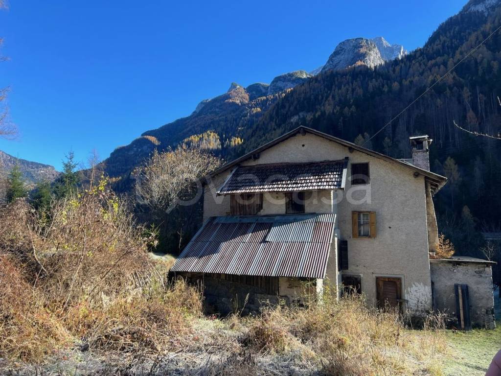 immagine annuncio 11 di 12