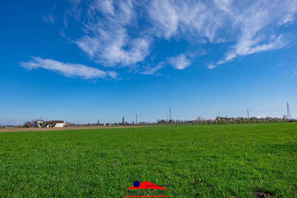 immagine annuncio 4 di 13