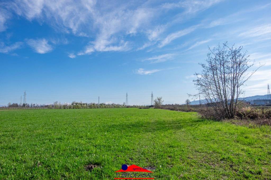 immagine annuncio 5 di 13