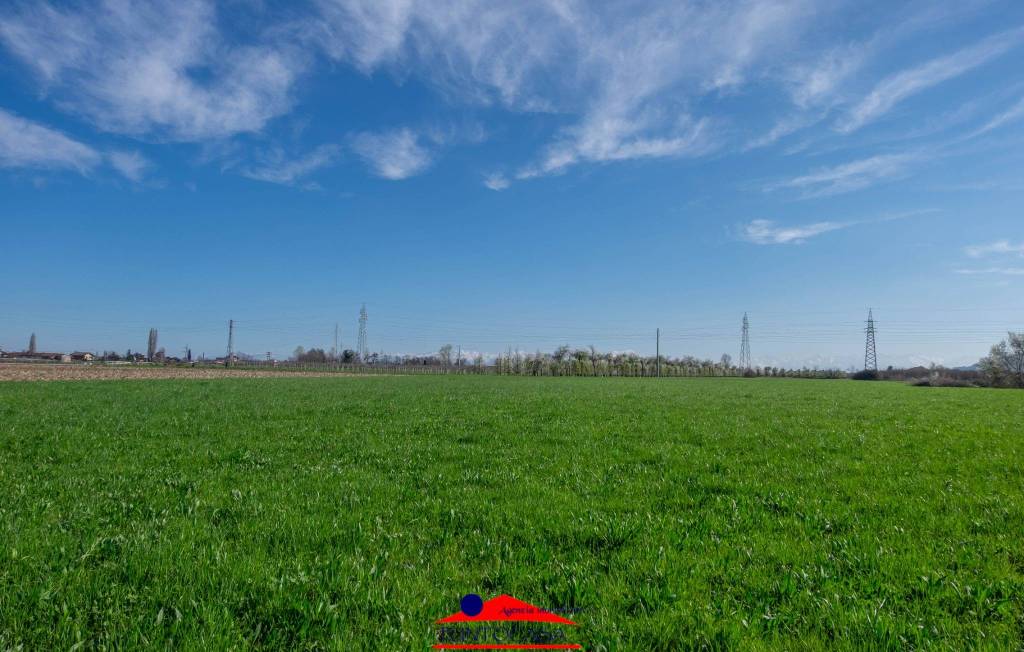 immagine annuncio 6 di 13