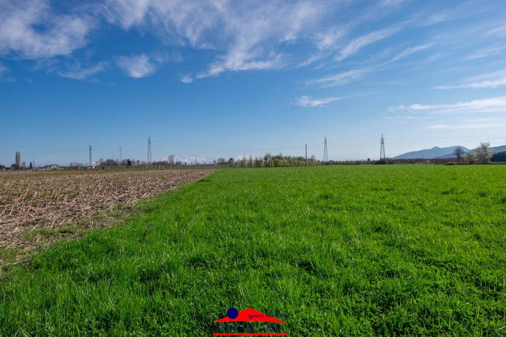 immagine annuncio 9 di 13