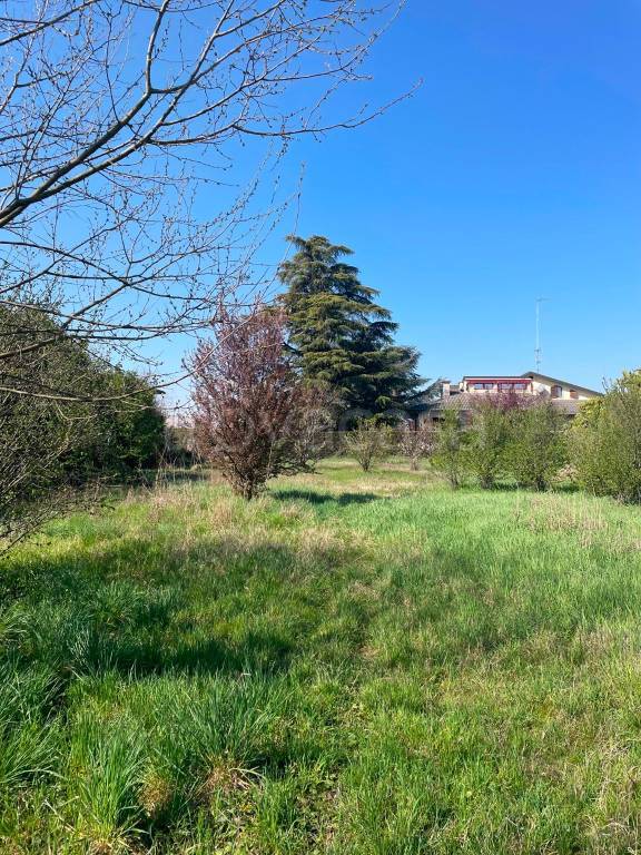 immagine annuncio 7 di 13