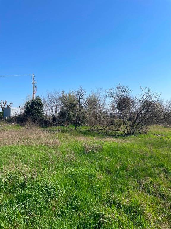 immagine annuncio 8 di 13