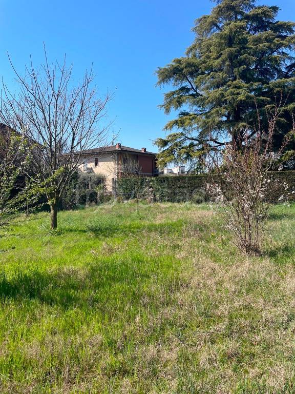 immagine annuncio 4 di 13