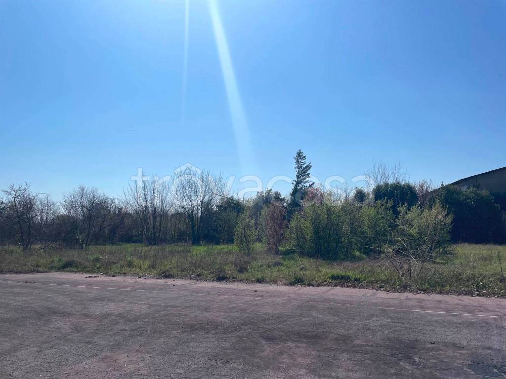 immagine annuncio 9 di 13