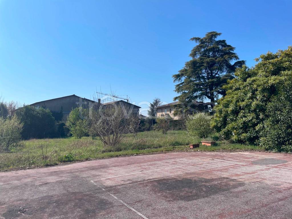 immagine annuncio 12 di 13