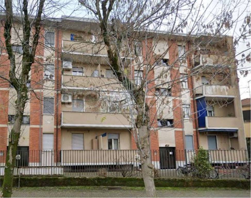 immagine annuncio 7 di 14