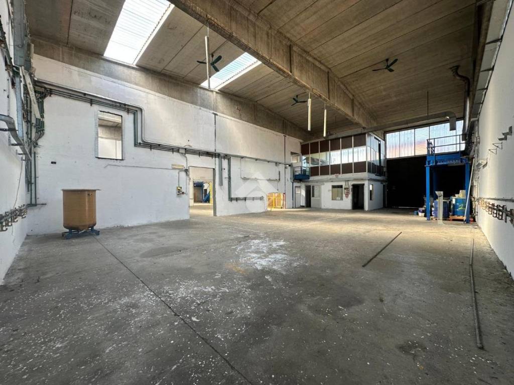 immagine annuncio 9 di 15