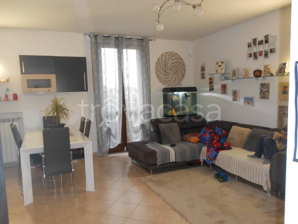 immagine annuncio 7 di 14