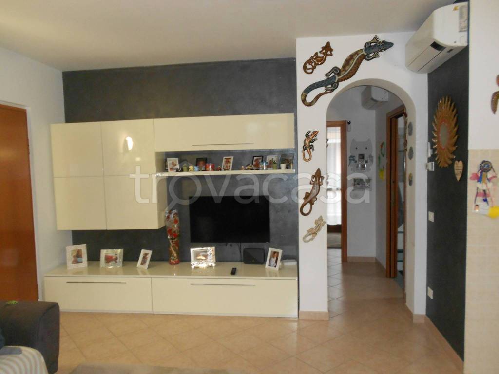 immagine annuncio 9 di 14