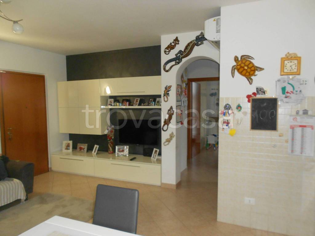 immagine annuncio 10 di 14