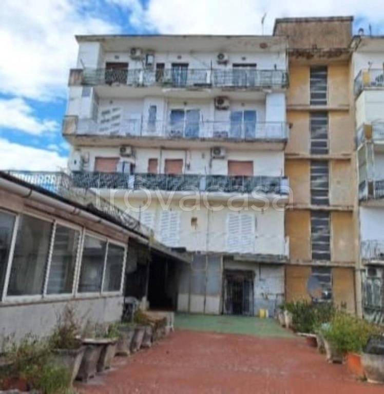 immagine annuncio 3 di 12