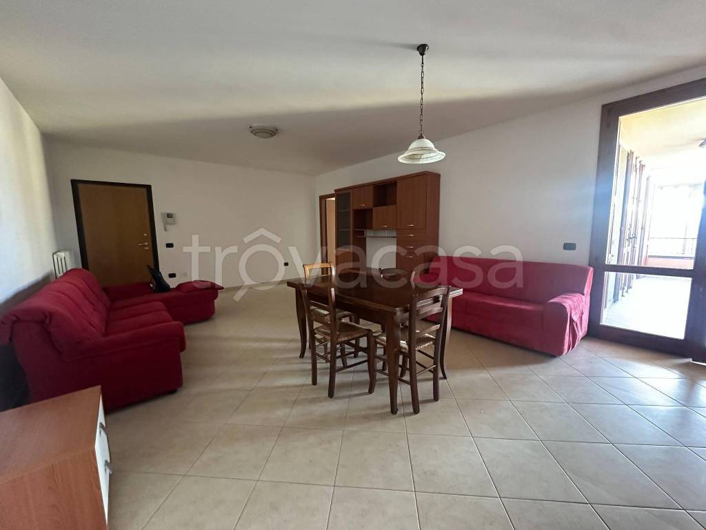 immagine annuncio 1 di 12