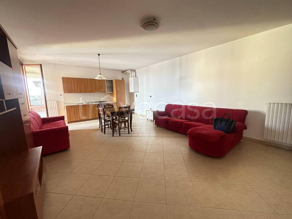 immagine annuncio 2 di 12