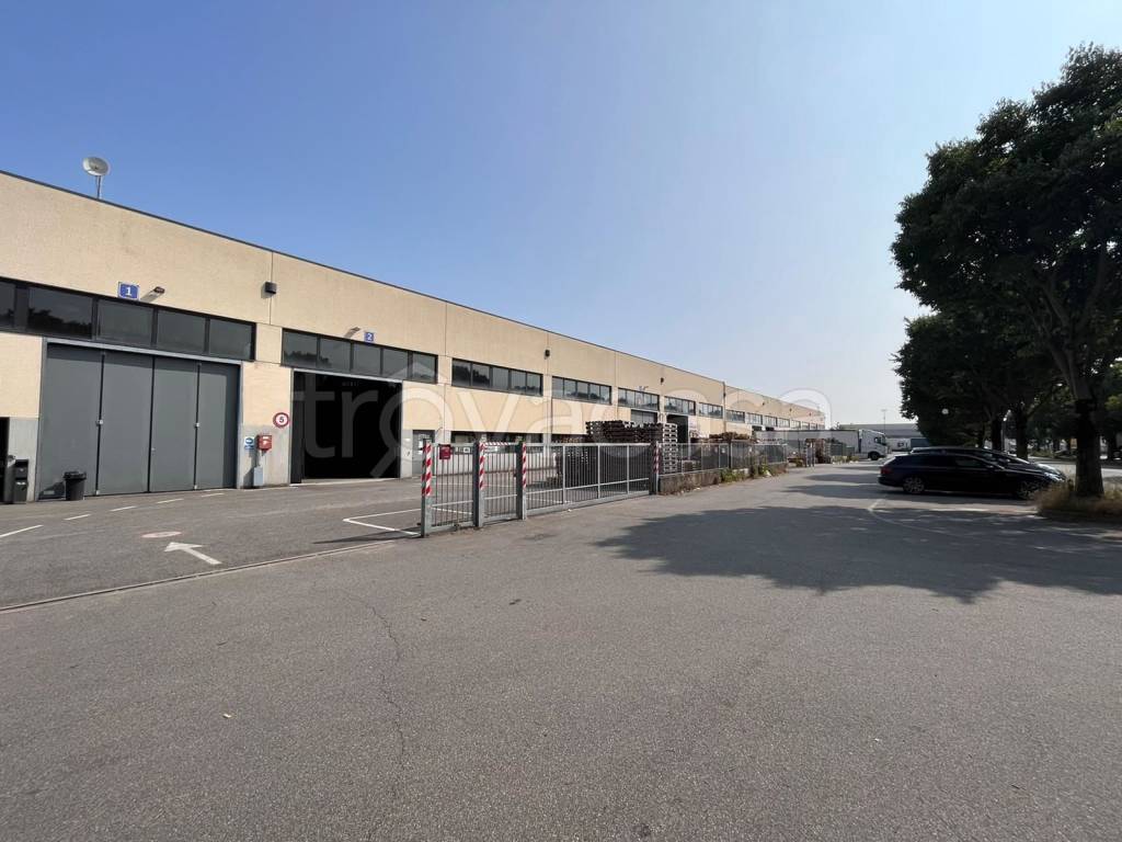 immagine annuncio 11 di 15