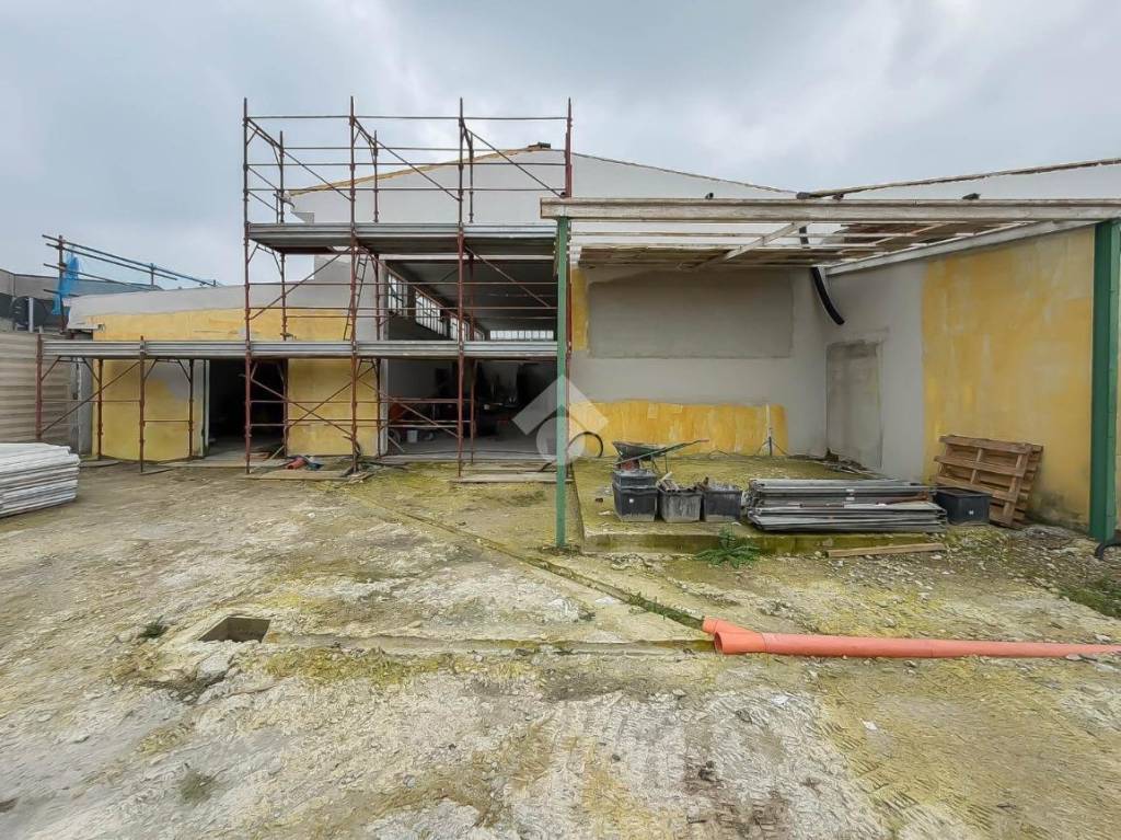 immagine annuncio 9 di 15