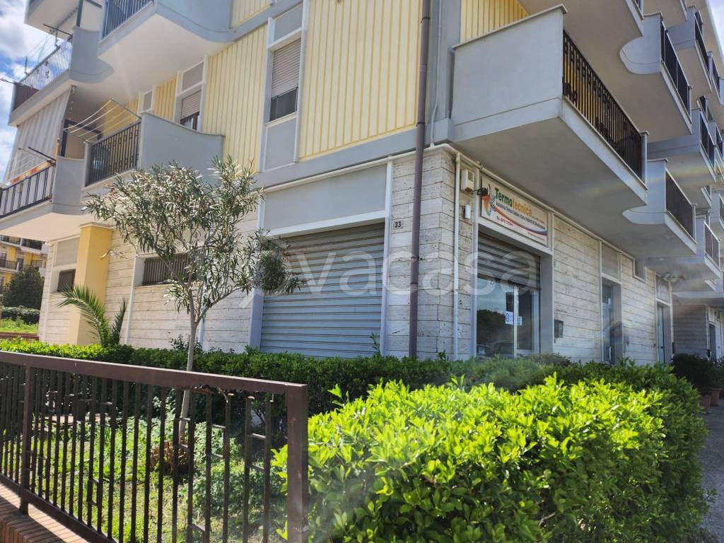 immagine annuncio 2 di 4