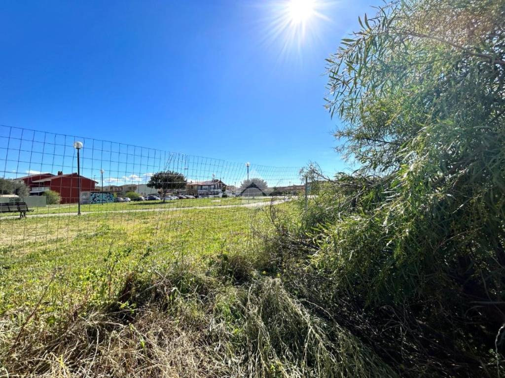 immagine annuncio 2 di 7