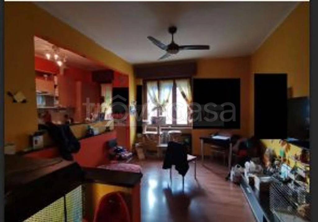 immagine annuncio 1 di 13