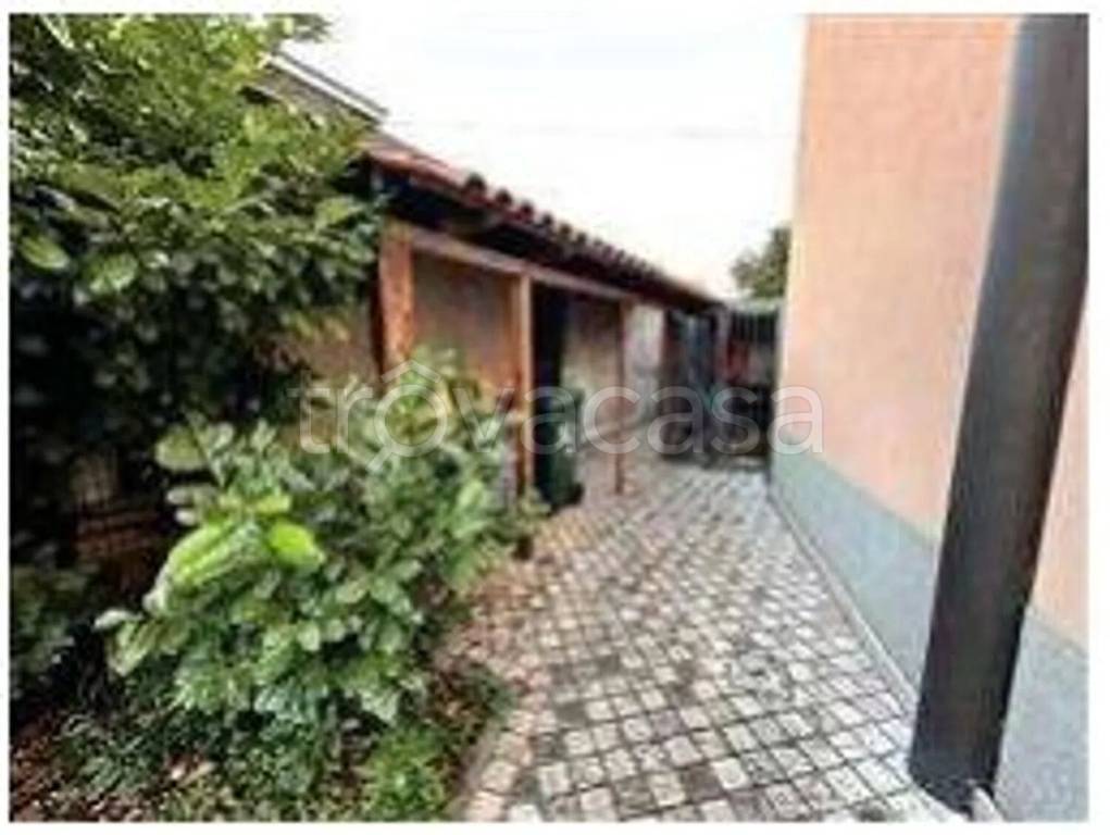 immagine annuncio 7 di 12