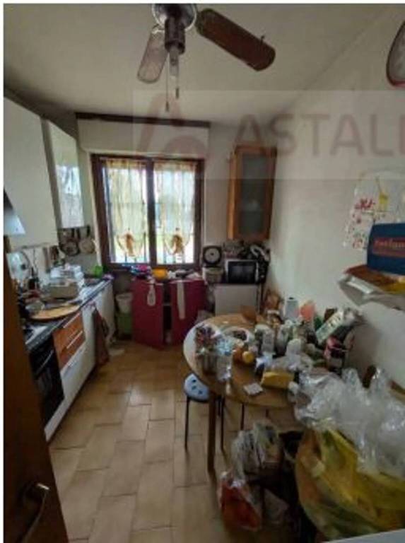 immagine annuncio 7 di 13