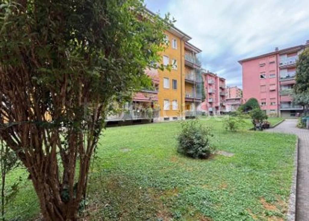 immagine annuncio 3 di 14