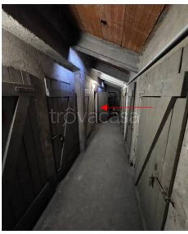 immagine annuncio 10 di 12