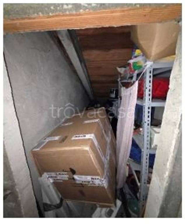 immagine annuncio 11 di 12