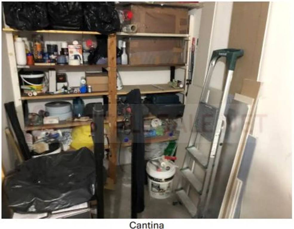 immagine annuncio 9 di 11