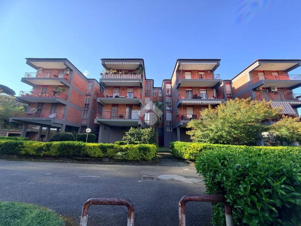 immagine annuncio 1 di 8