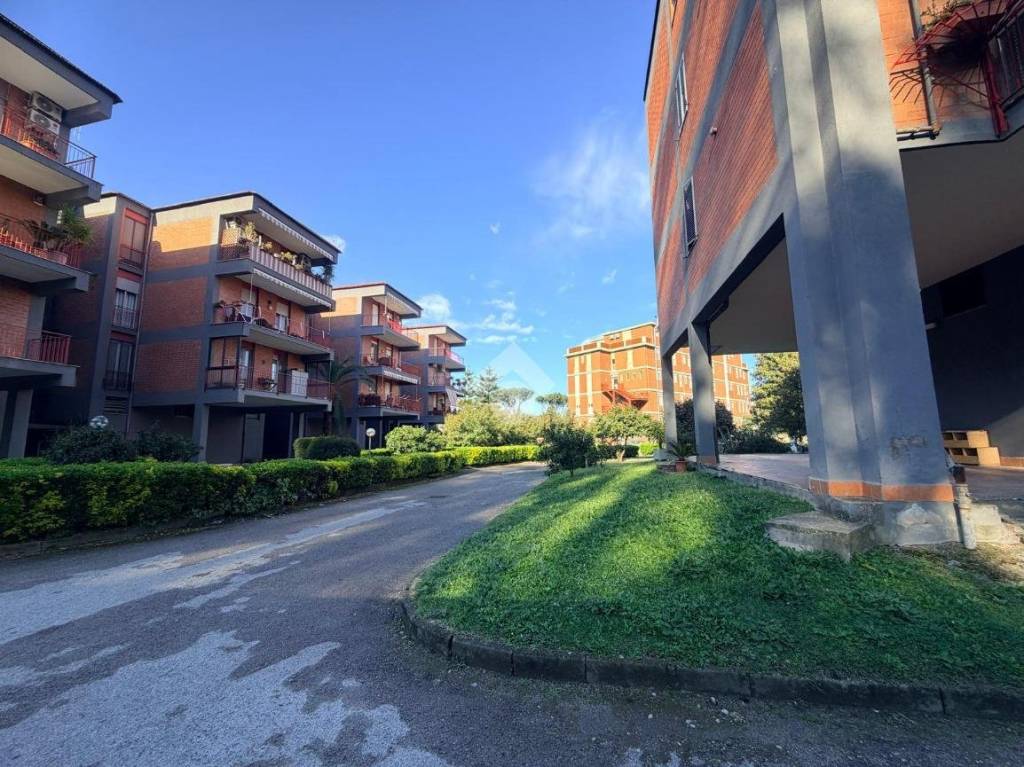 immagine annuncio 2 di 8