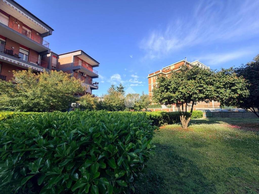 immagine annuncio 3 di 8