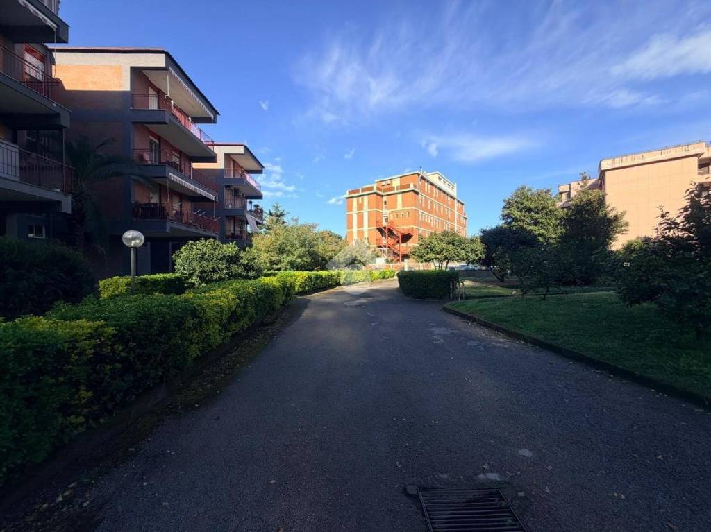 immagine annuncio 5 di 8