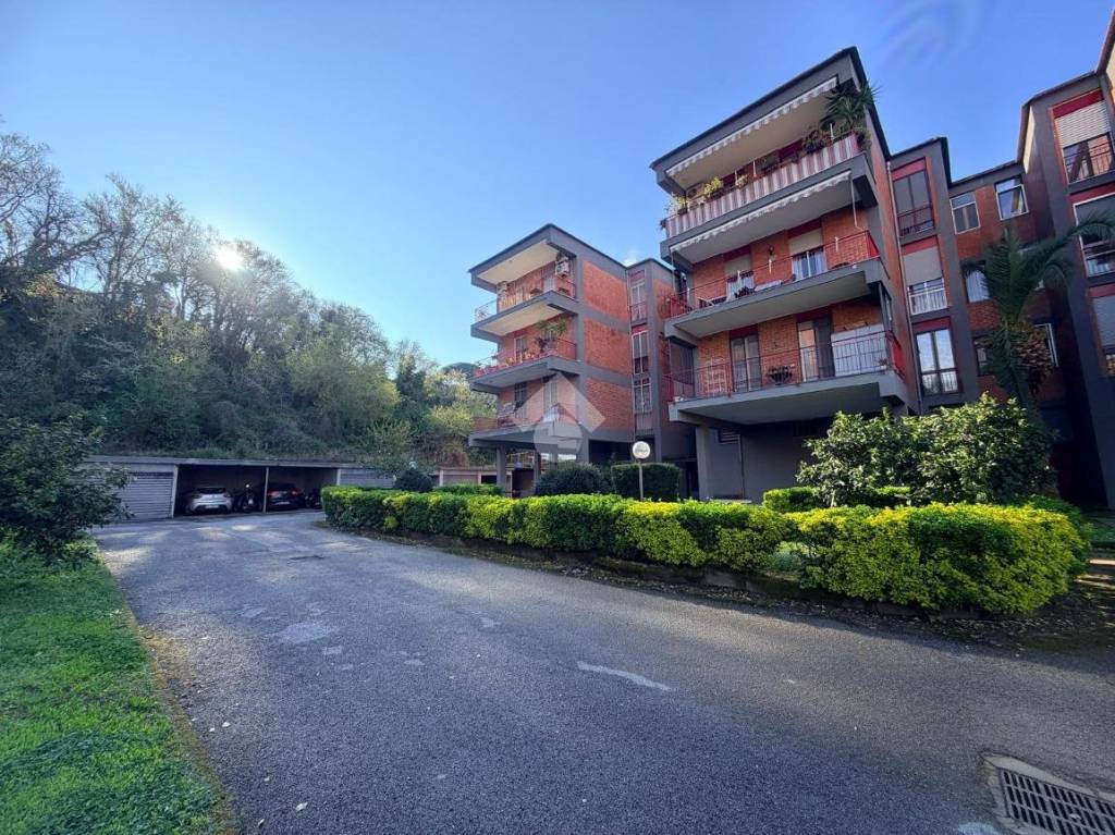 immagine annuncio 6 di 8