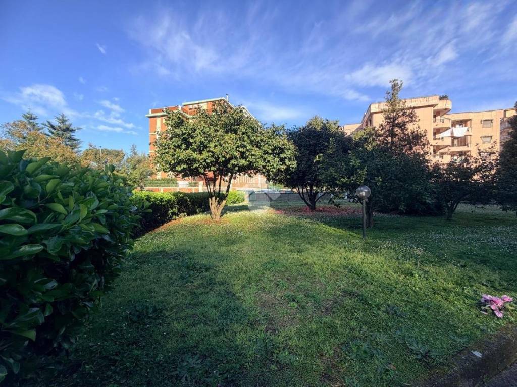 immagine annuncio 7 di 8