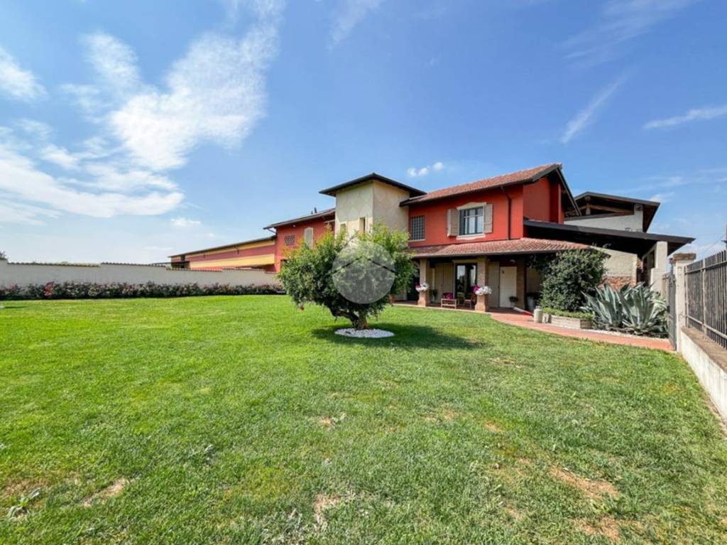 immagine annuncio 11 di 15