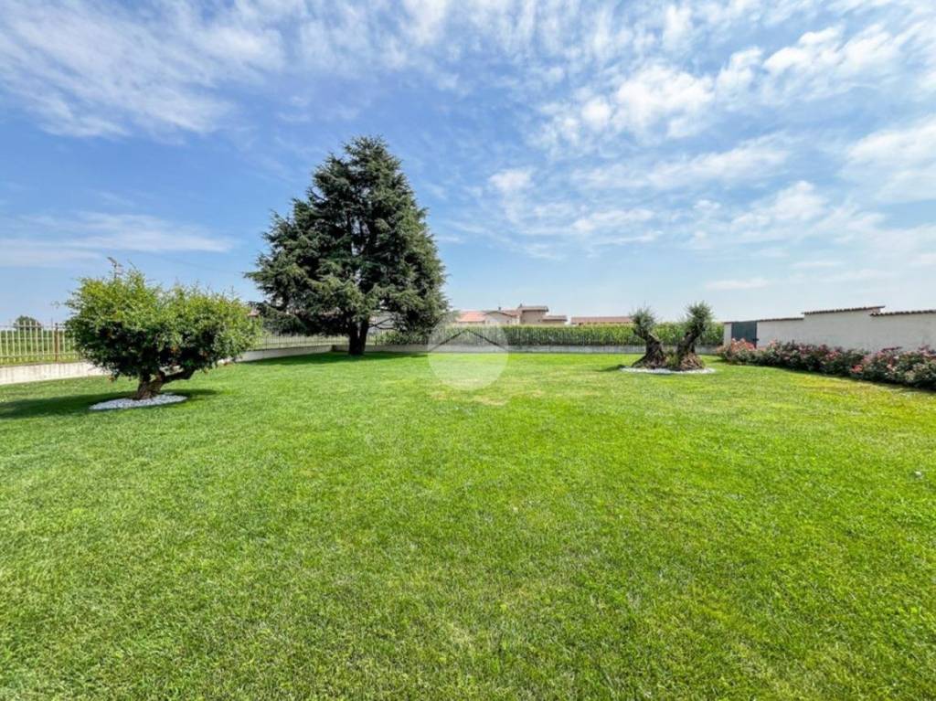 immagine annuncio 13 di 15